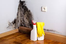 Trusted Greenwood, AR Mold Prevention & Removal  Experts